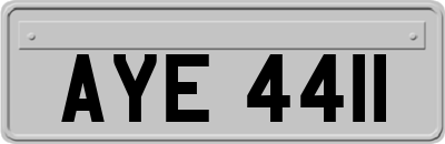 AYE4411