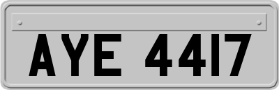 AYE4417