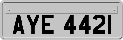 AYE4421