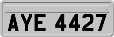 AYE4427
