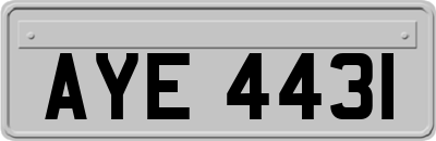 AYE4431