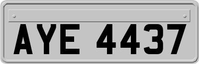 AYE4437