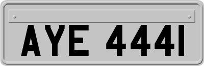 AYE4441