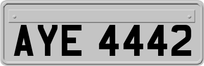 AYE4442