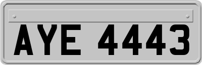 AYE4443
