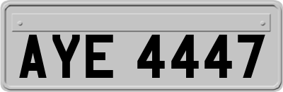 AYE4447