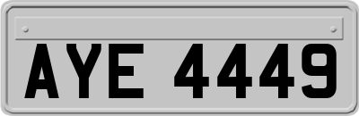 AYE4449