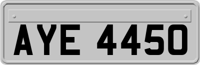 AYE4450