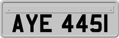 AYE4451