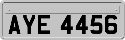 AYE4456