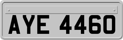 AYE4460
