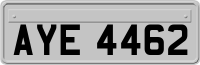 AYE4462