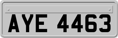AYE4463