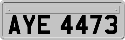 AYE4473