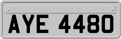AYE4480
