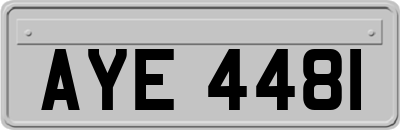 AYE4481