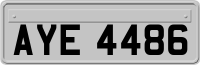 AYE4486