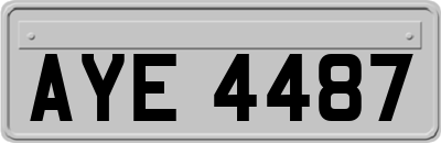 AYE4487
