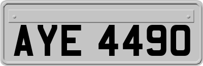 AYE4490