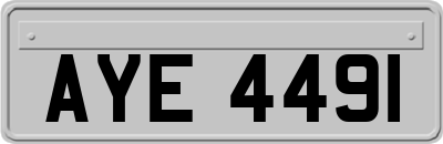 AYE4491