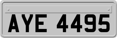 AYE4495
