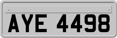 AYE4498