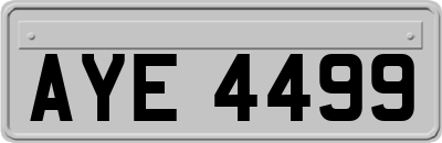 AYE4499