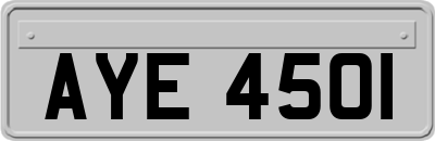 AYE4501