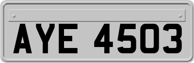 AYE4503