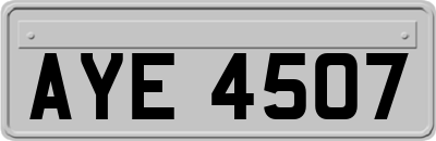 AYE4507
