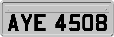 AYE4508