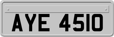 AYE4510