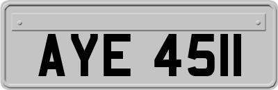AYE4511