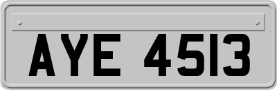 AYE4513