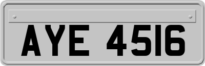 AYE4516