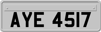 AYE4517