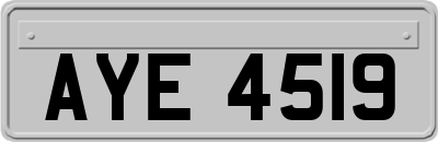 AYE4519