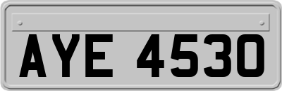 AYE4530