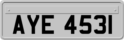 AYE4531