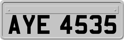 AYE4535