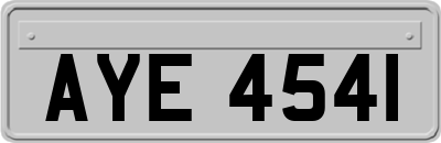 AYE4541