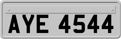 AYE4544