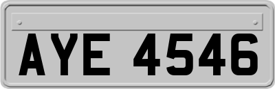 AYE4546