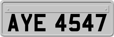 AYE4547