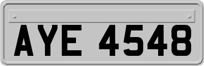 AYE4548