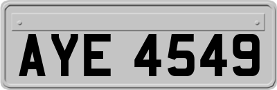AYE4549