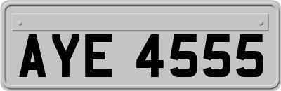 AYE4555