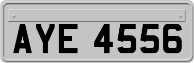 AYE4556