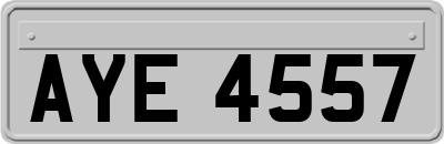 AYE4557