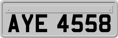 AYE4558